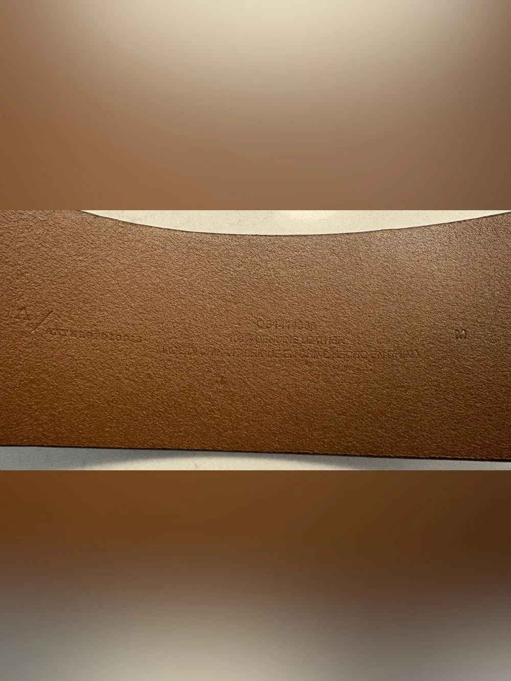 Anthropologie Wide Brown Leather Belt with Brass-Tone Buckle